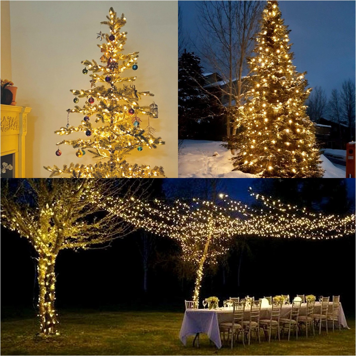 More LED Green Wire Garland St - Lighting Decor And More ulasan dan harga